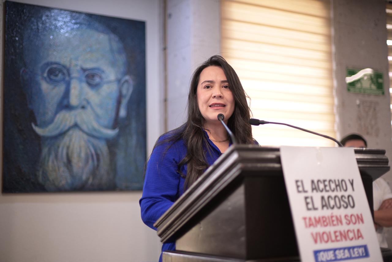 Promueve diputada tipificar el delito de Acecho u Hostigamiento